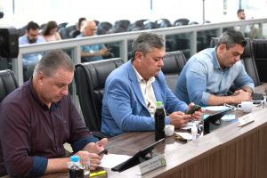 Sessão Ordinária - 25.11.2025 - Parte II 