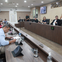 Sessão Ordinária - 05.02.2026 - Parte I 