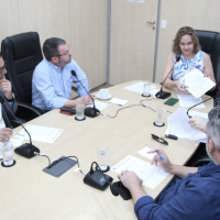 Reunião da Comissão Especial de Segurança nas Escolas e CEIs - 23.04.2026  