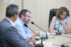 Reunião da Comissão Especial de Segurança nas Escolas e CEIs - 23.04.2026  