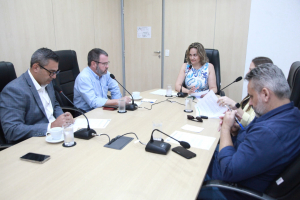 Reunião da Comissão Especial de Segurança nas Escolas e CEIs - 23.04.2026  