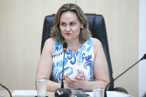 Reunião da Comissão Especial de Segurança nas Escolas e CEIs - 23.04.2026  