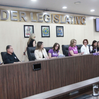 Procuradoria da Mulher da Câmara de Vereadores de Blumenau Comemora 5 anos  - 26.08.2026- Parte I 